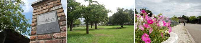 Zorgboerderij Zwaantjeshof