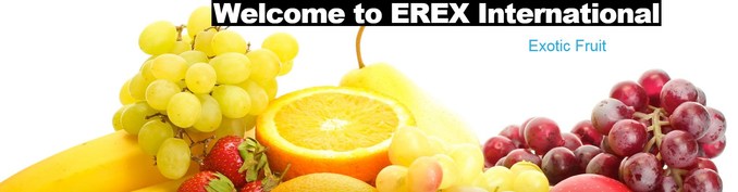 Erex International B.V.