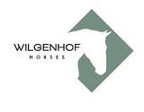 Wilgenhof Horses