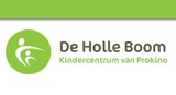 Kinderdagverblijf De Holle Boom (Stichting Prokino)