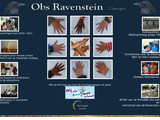 Openbare Archipelschool “Ravenstein”