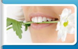 Tandartsenpraktijk Dental Health Plantage BV
