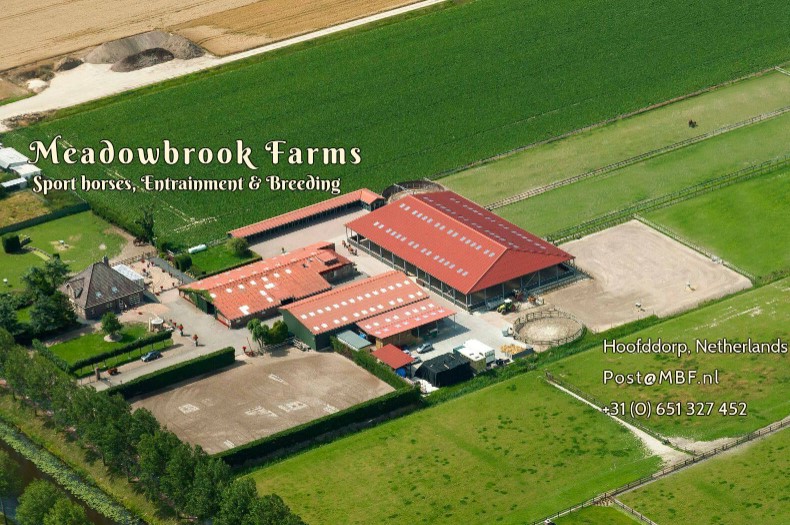 Meadowbrook Farms