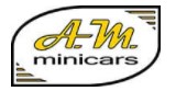 A.M. Minicars