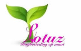 Lotuz Dagbesteding