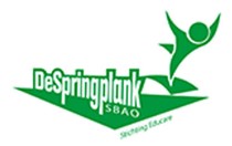 SBAO De Springplank
